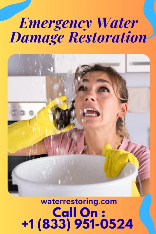Emergency Water Damage Restoration in Wentworth, MO