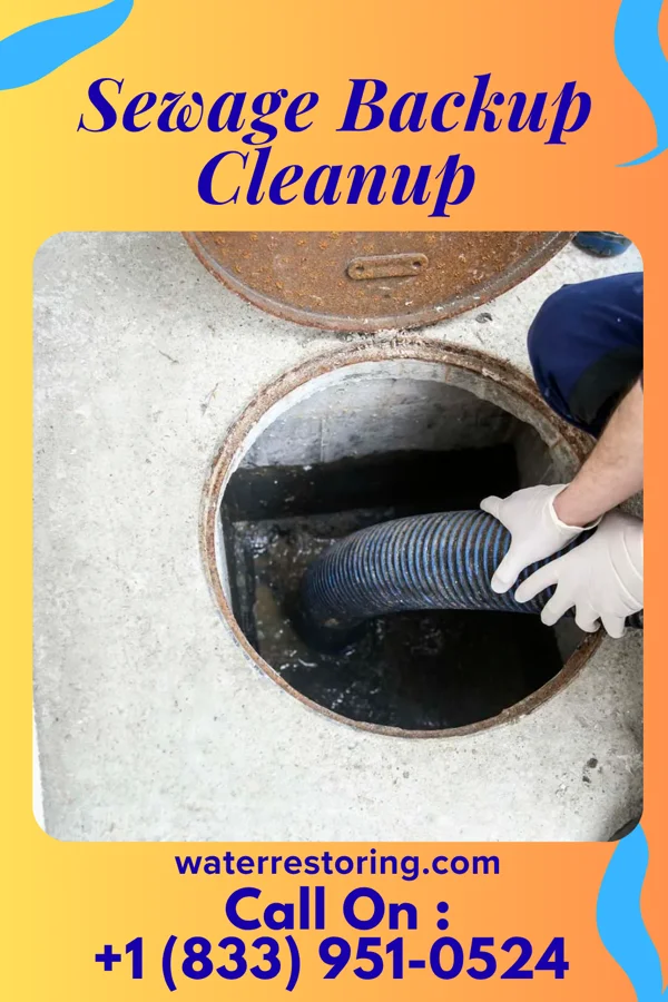 Sewage Backup Cleanup in Wentworth, MO